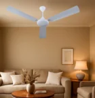 casa missle conch cream